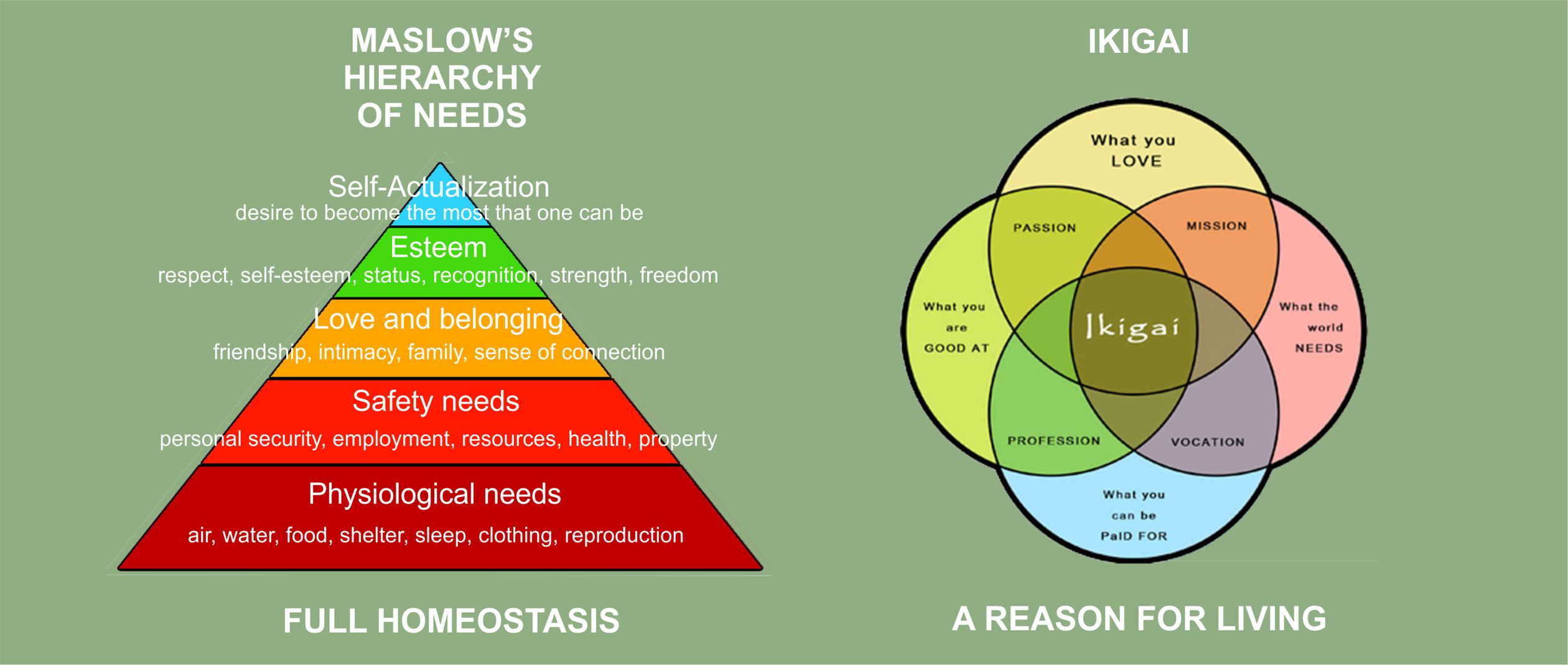 Maslow's Hierarchy of Needs & Ikigai